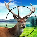 Stag Hunter Safari