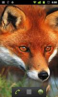 red fox live wallpaper اسکرین شاٹ 1