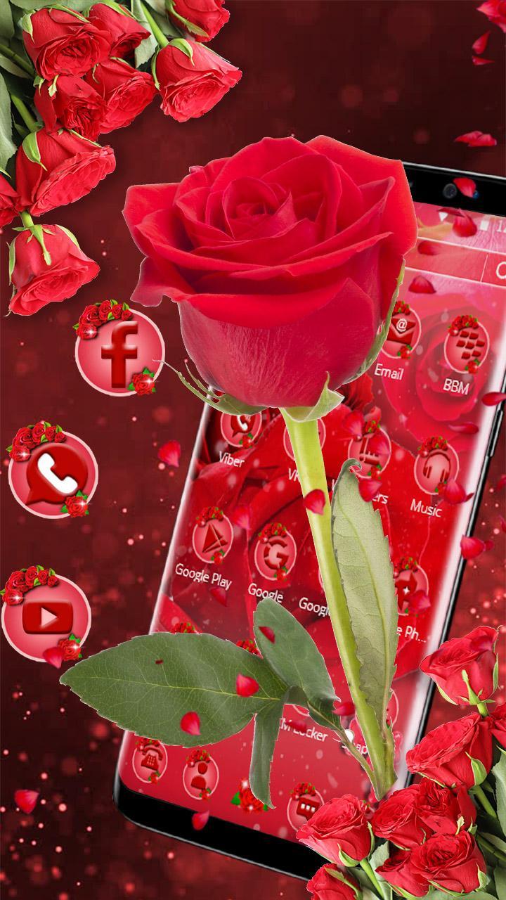 34++ Gambar Wallpaper Bunga Mawar Merah - Richi Wallpaper