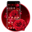 Red Rose Flowers Theme