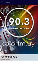 Color FM постер