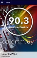 Color FM poster