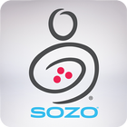 SOZO Global icône