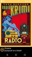 Radio Krimi poster