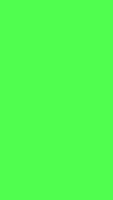 Green Ekran Görüntüsü 2