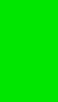 Green Ekran Görüntüsü 3