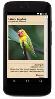 Jenis LoveBird স্ক্রিনশট 3