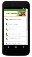 Jenis LoveBird poster