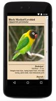 Jenis LoveBird স্ক্রিনশট 2