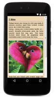 برنامه‌نما Ternak Burung LoveBird عکس از صفحه