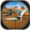 Desert Sniper Spy Pigeon Hunt