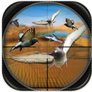 Desert Sniper Spy Pigeon Hunt APK