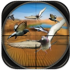 Desert Sniper Spy Pigeon Hunt icône