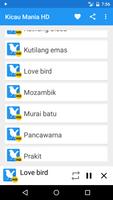 Kicau mania HD offline الملصق