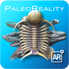 آیکون‌ PaleoReality