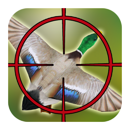 Duck Hunting