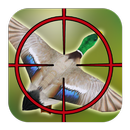 Duck Hunting-APK