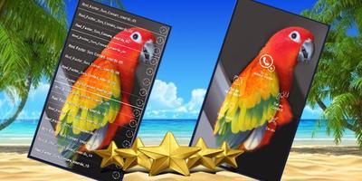 Red Factor Sun Conure Sounds скриншот 2