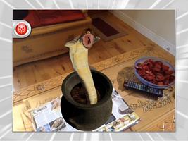 GWR2014 - Augmented Reality ポスター