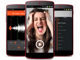 Sonidos molestos পোস্টার