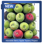 Adorable Berry Apple Topiary Project biểu tượng