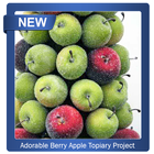 Adorable Berry Apple Topiary Project icon