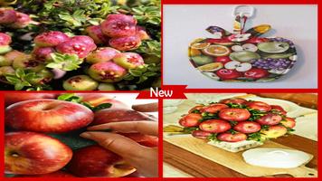 پوستر Adorable Berry Apple Topiary Project