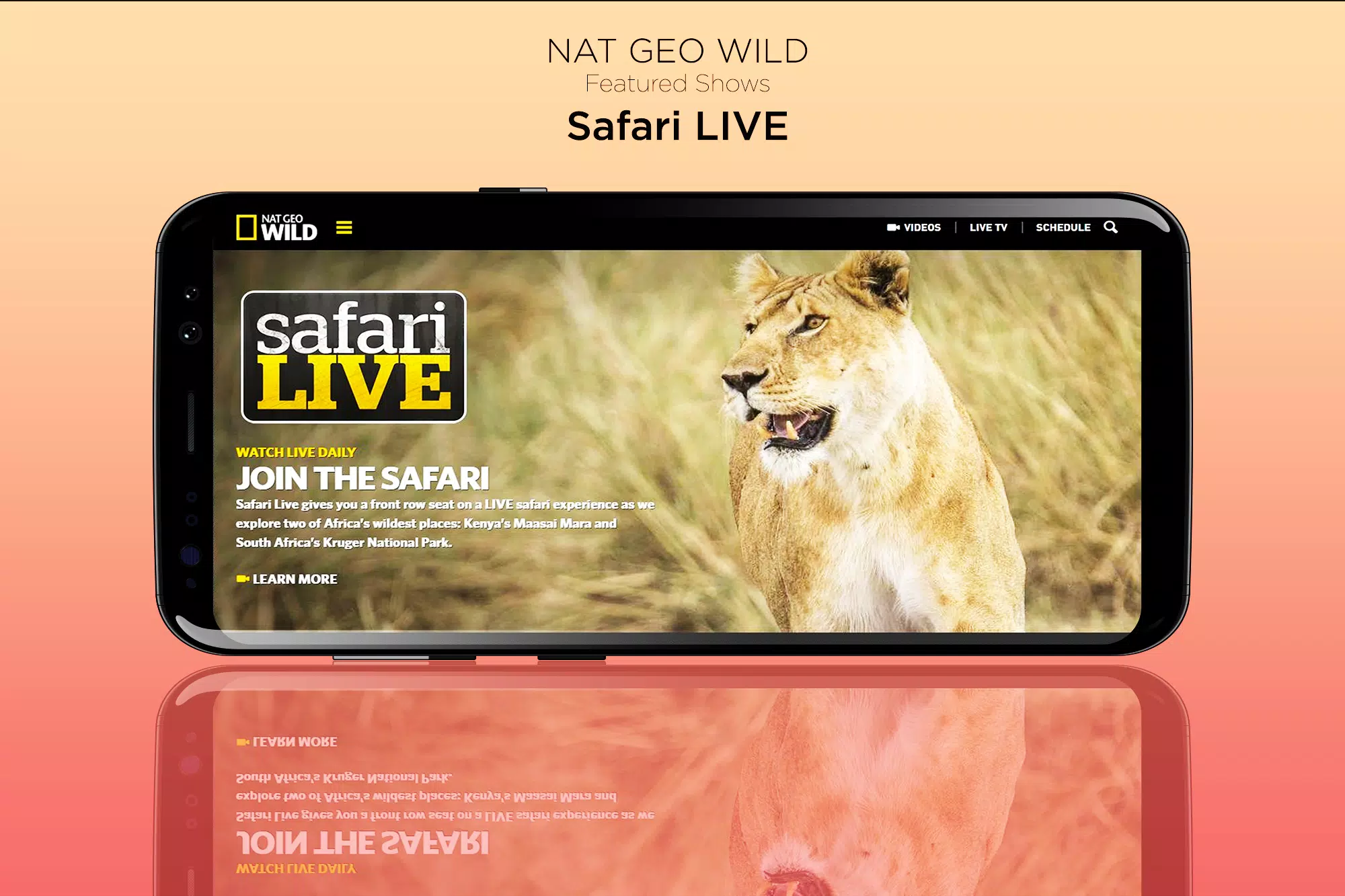 Tải xuống APK Nat Geo Wild Live - HD Channel: TV Shows & Animals cho Android