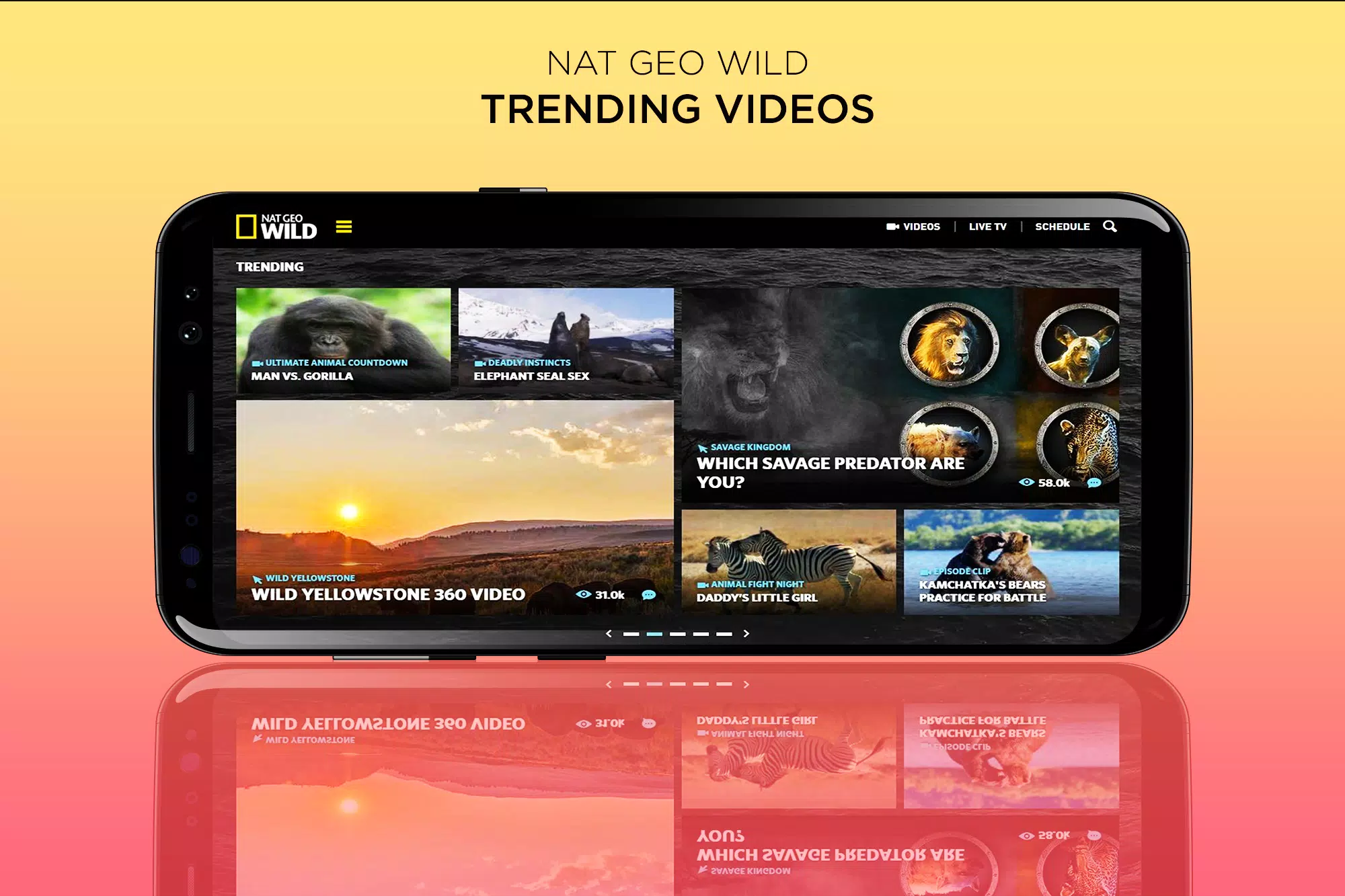 Tải xuống APK Nat Geo Wild Live - HD Channel: TV Shows & Animals cho Android Tải xuống APK Nat Geo Wild Live - HD Channel: TV Shows & Animals cho Android