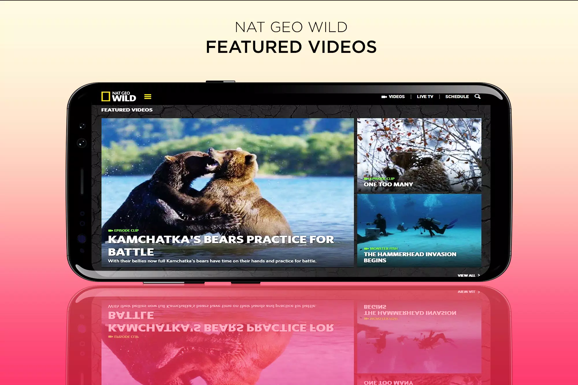 Tải xuống APK Nat Geo Wild Live - HD Channel: TV Shows & Animals cho Android Tải xuống APK Nat Geo Wild Live - HD Channel: TV Shows & Animals cho Android