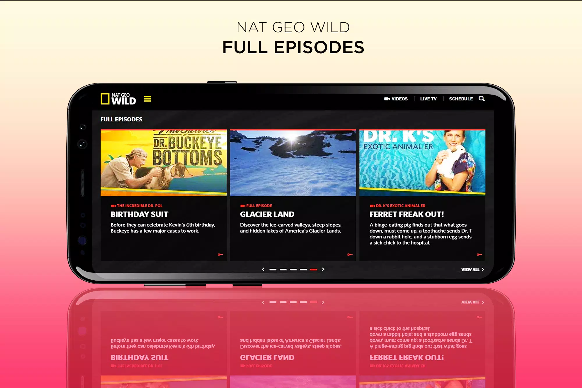 Nat Geo Wild Live - HD Channel: TV Shows & Animals APK for Android Download Nat Geo Wild Live - HD Channel: TV Shows & Animals APK for Android Download