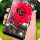 Rose Live Wallpaper 2018: HD Flower Backgrounds APK