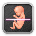 Prank Pregnancy Detector icône