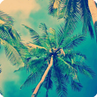 Summer Wallpaper icon