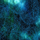 Connective tissue APK