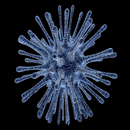 cell nucleus APK