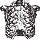 Anatomy and morphology APK