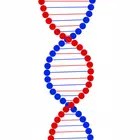 Genetics 图标