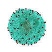 Immunology