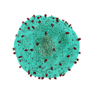 Immunology APK