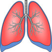 Respiratory system surgeries