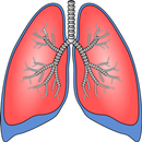 Respiratory system surgeries APK