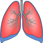 Respiratory system surgeries icon