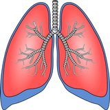 Respiratory system surgeries icon