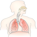 respiratory system symptoms APK