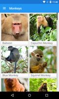 Monkeys App پوسٹر
