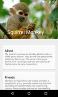 Monkeys App اسکرین شاٹ 1