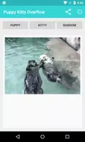 Puppy Kitty Overflow Screenshot 2