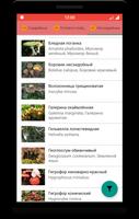 Богатства леса screenshot 2