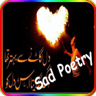 Dard e Dil (Sad Urdu Poetry) ícone